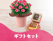 �M�t�g�Z�b�g