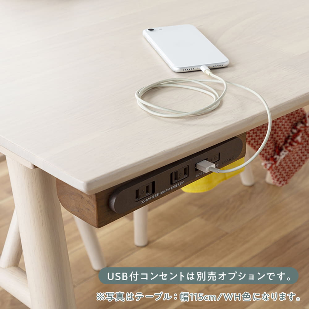 USBコンセント(別売)