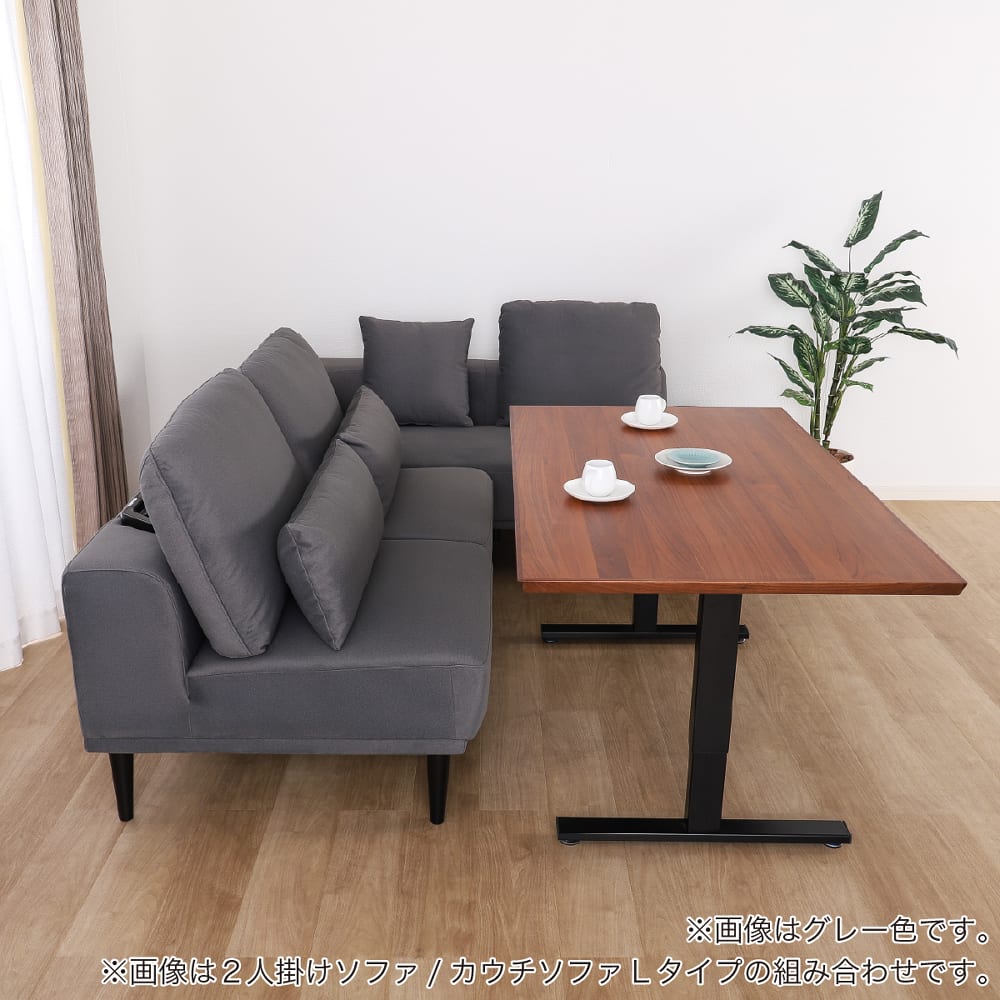 LDソファ 肘なし 2人掛けソファ リンク GY［ホームズオリジナル