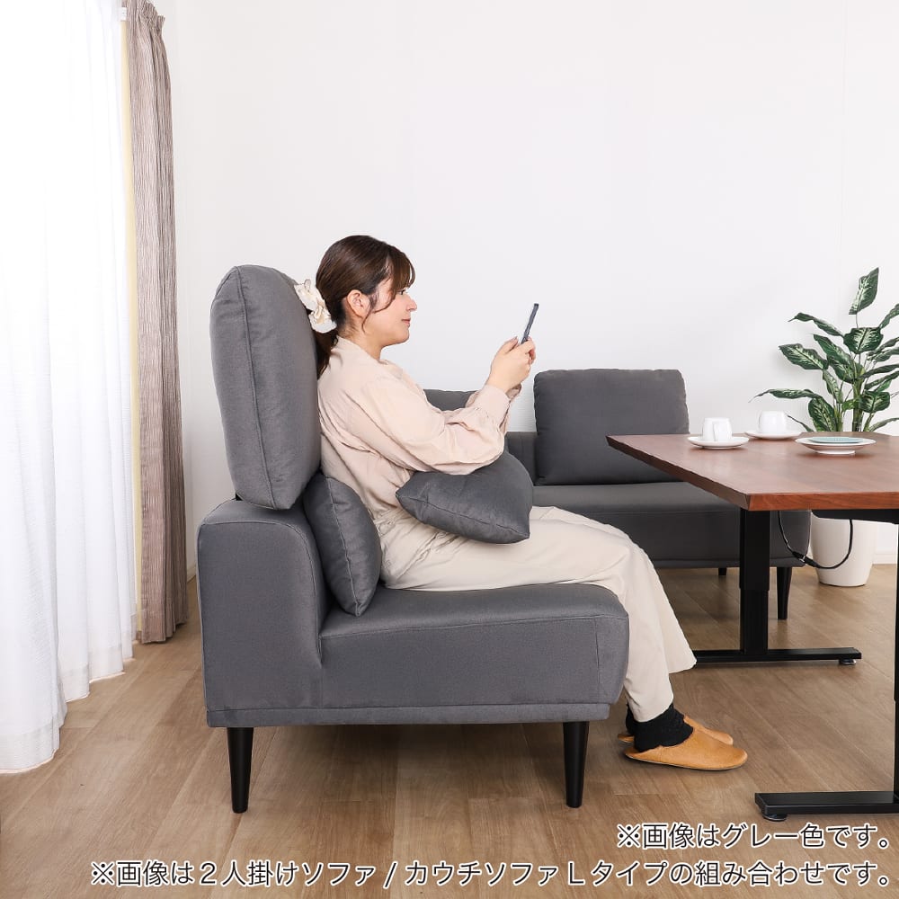 LDソファ 肘なし 2人掛けソファ リンク GY［ホームズオリジナル