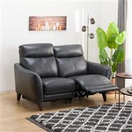 2�l�p���d�����N���C�j���O�\�t�@ (�A�l�[���Z�~�A�j�����v�^�C�v SK GY)�@<N>