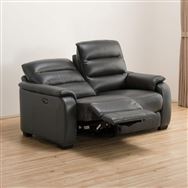 2�l�p�E�d�����N���C�j���O�\�t�@ (�N���[�i �Z�~�A�j�����v�^�C�v SK GY)�@<N>