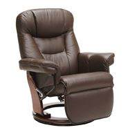 �p�[�\�i���`�F�A�@�j�[�X