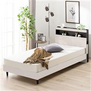 �V���O���I�t���t���[���@�r�t���[���@NS005�@�v�v�@�k�^�k�@�r<N>