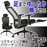 デスクチェア | 家具・インテリア通販サイトのシマホネット【島忠 