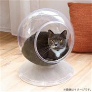 �yBF���z�h�M�[�}���n���V Clear spot  �L�����̓������̃X�^���h�n�E�X ���\��̔��y�����@:�X�܎��̂݁z