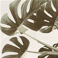 �yBF���z�G�R�J���b�g�Z���tFLOWER #113_9090S ���\��̔��y�����@:�X�܎��̂݁z