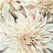 �yBF���z�G�R�J���b�g�Z���tFLOWER #114_9090S ���\��̔��y�����@:�X�܎��̂݁z