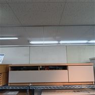 y{{X@֓ꕔn@Wiz@[{[h@C@150cm