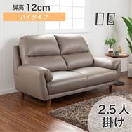 �y�V���X�@�֓��ꕔ�n�����@�W�������i�z�@2.5�l�|���\�t�@�@�f�r���[081�@2.5S�@DGY
