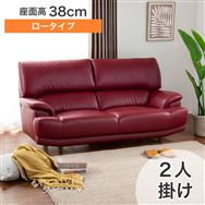 �y�V���X�@�֓��ꕔ�n�����@�W�������i�z�@�Q�l�|���\�t�@�@�f�r���[077�@2S���[�^�C�vSH38����PCNR