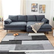 �y�{���X�@�֓��ꕔ�n�����@�W�������i�z�@�V�F�[�Y�����O�\�t�@L�@N66�@�t�B���@DGY