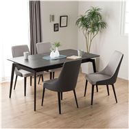 �y����X�@�֓��ꕔ�n�����@�W�������i�z�@�_�C�j���O�T�_�Z�b�g�i�O���[�@DT�Z���~�N�X2EX/DC�Z���~�N�XB2179