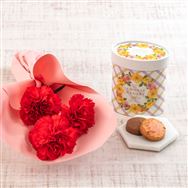 �y���������z�~�j�u�[�P�u�N�b�L�[�A�\�[�g�v�Z�b�g�y��̓��t�����[�M�t�g�z