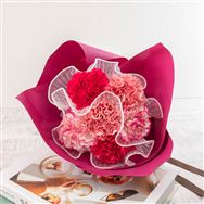 �y���������z�ԑ��u�t�����[�V���V���v�y��̓��t�����[�M�t�g�z