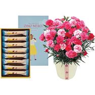 �y���������z�J�[�l�[�V�����i��������Ȃ��j�ƃ����O�h���[���y��̓��t�����[�M�t�g�z