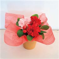 �y���������z�A�����W�����g�i�C�`�S�~���N�j�y��̓��t�����[�M�t�g�z