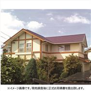 �O�Ǔh���@�R�X�p���Q�v�����@�t�b�f�h���@���W�J������^���F�痿�@30�؁@�W���H���̂ݖڈ����z