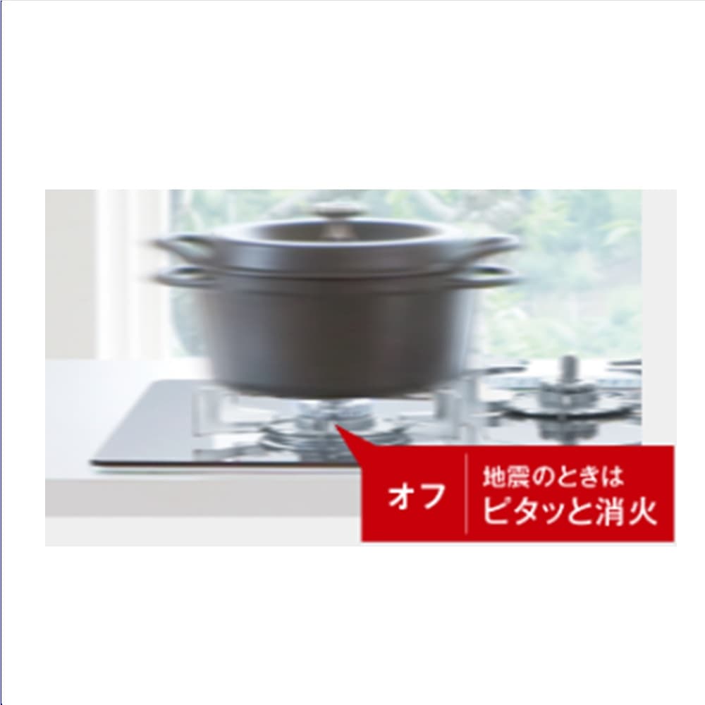 もしもの安心 揺れピタ