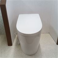 �y�����L�����y�[���ΏۊO�z�y�t�����{�X�@�W���g�p�i�z�@TOTO�@�g�C���@�l�I���X�gAS1