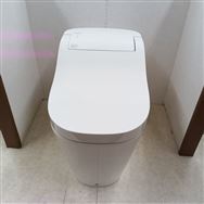 �y�t�����{�X�@�W���g�p�i�z�@�p�i�\�j�b�N�@�g�C���@�A���E�[�m�@S160�@�^�C�v1�@CH1601WS