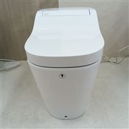 �y���˒˓X�@�W���g�p�i�z�@�p�i�\�j�b�N�@�g�C���@�A���E�[�m�@S160�@�^�C�v1�@CH1601WS