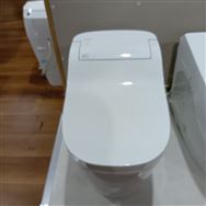 �y�z�[���Y���X�@�W���g�p�i�z�@�p�i�\�j�b�N�@�g�C���@�A���E�[�m�@S160�@�^�C�v1�@CH1601WS