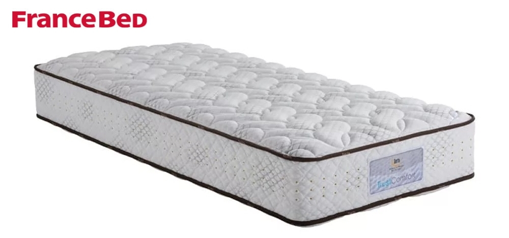 耐久性抜群! 高密度スプリングマットレスのフランスベッド