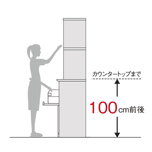 �n�C�J�E���^�[�^�C�v